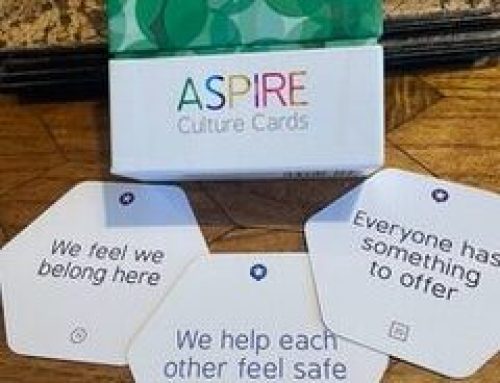 ASPIRE: A Model for Building Cultures Where Everyone Can Flourish