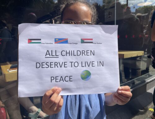 New Year Newsletter for the Northern Hemisphere!